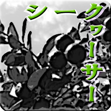 シークヮーサーのロゴ